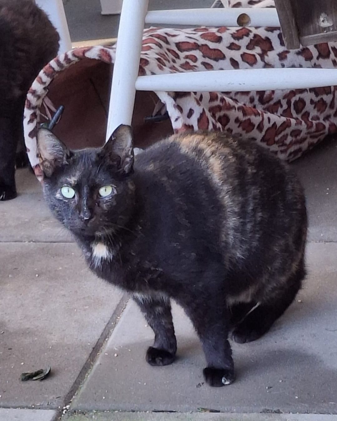 Betty