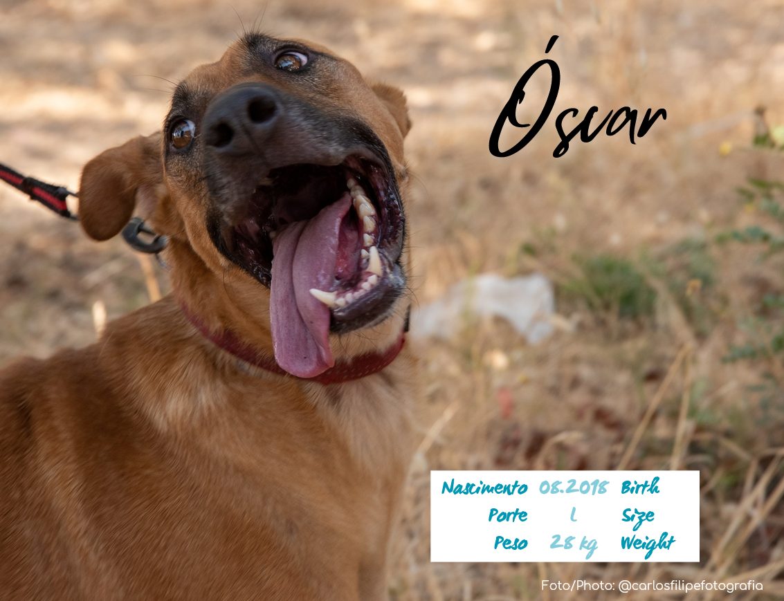 Oscar