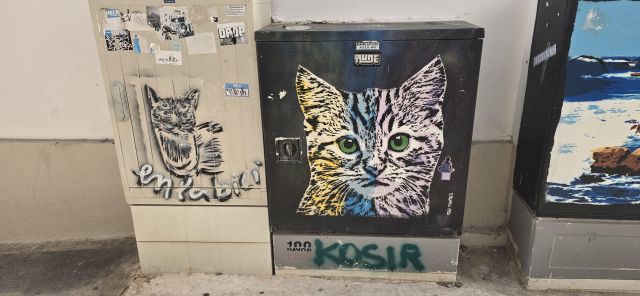pintura de gato
