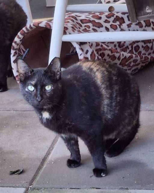 Betty