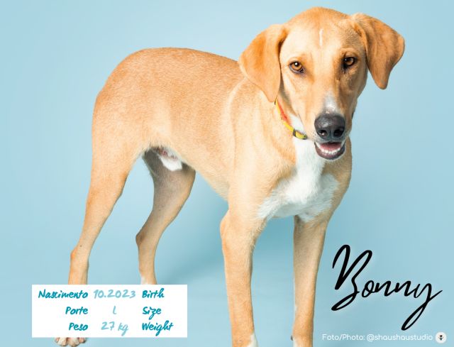 Bonny